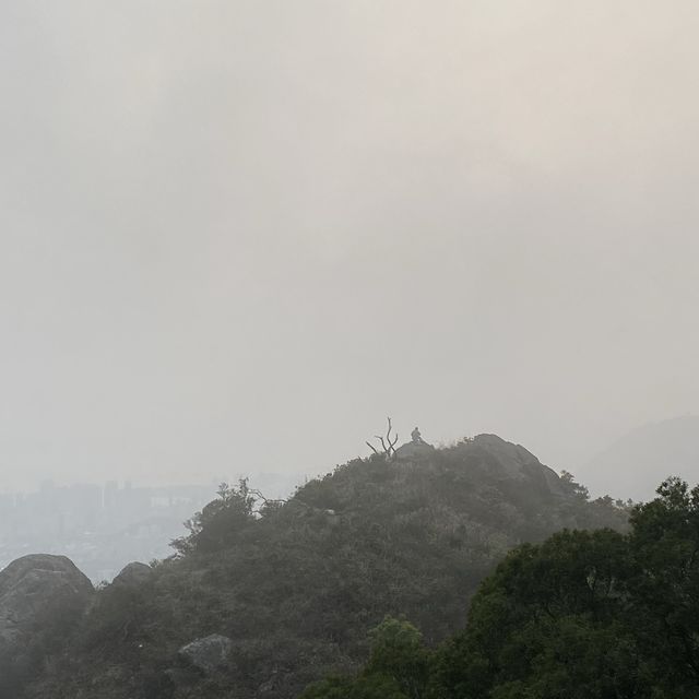 簡單行山路線 I #飛鵝山觀景台 I 最佳香港 日落美景 