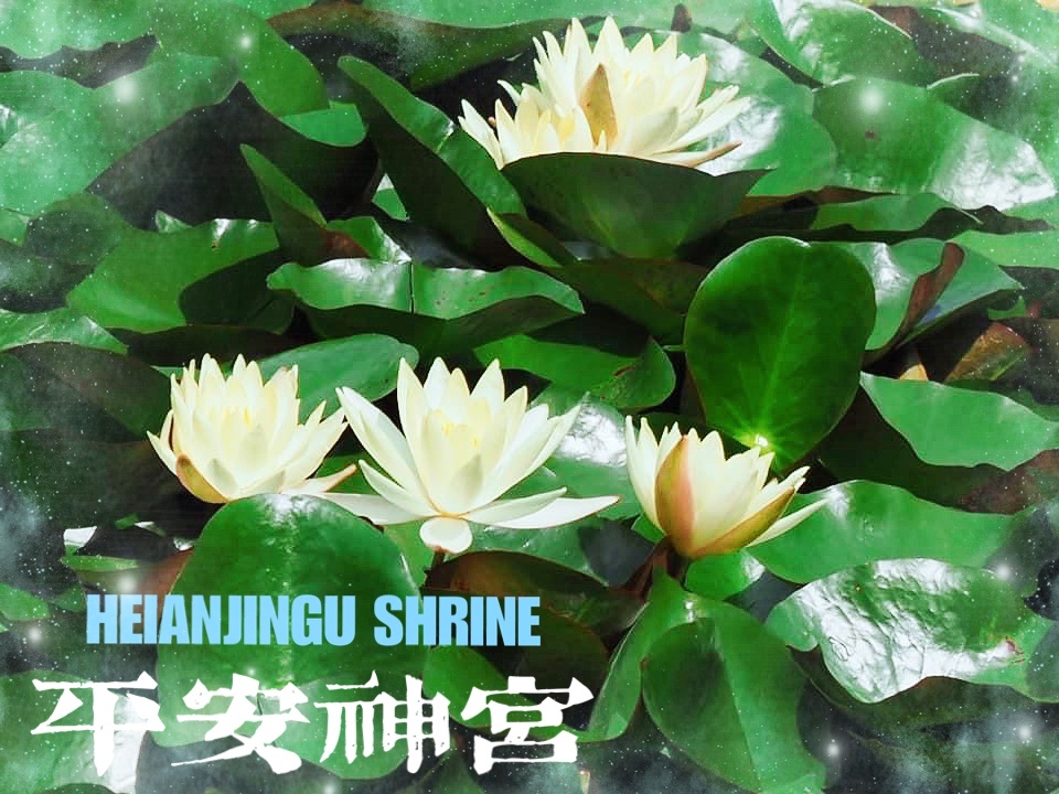 平安神宮旅遊攻略指南 平安神宮評價 平安神宮附近推薦 Trip Com