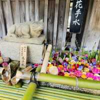 北野天満宮の花手水