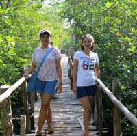 Bounty of mangrove