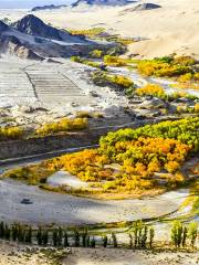 Duobagou Populus Gorge Scenic Area