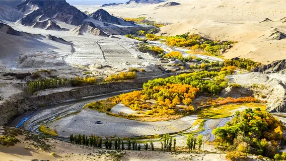 Duobagou Populus Gorge Scenic Area