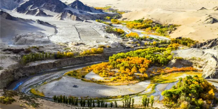 多壩溝胡楊峽景區