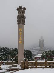 Ashoka Pillar