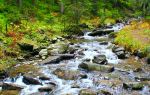 Tangwang River Stone Forest Scenic Area (Tangwang River National Park)