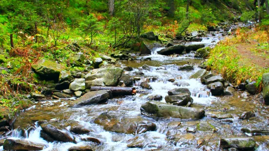 Tangwang River Stone Forest Scenic Area (Tangwang River National Park)