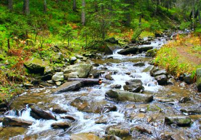 Tangwang River Stone Forest Scenic Area (Tangwang River National Park)