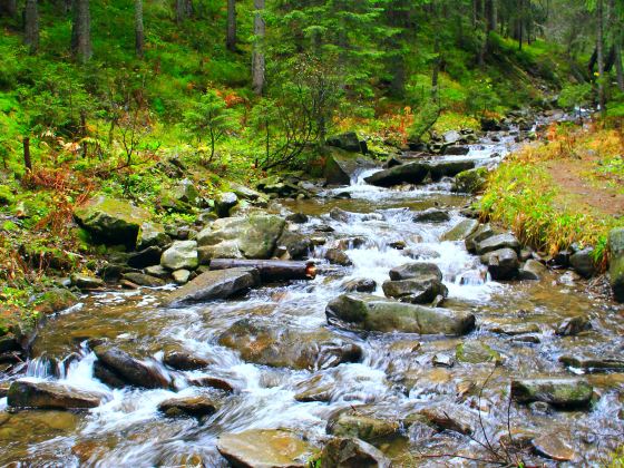 Tangwang River Stone Forest Scenic Area (Tangwang River National Park)