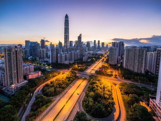 Shenzhen Civic Center