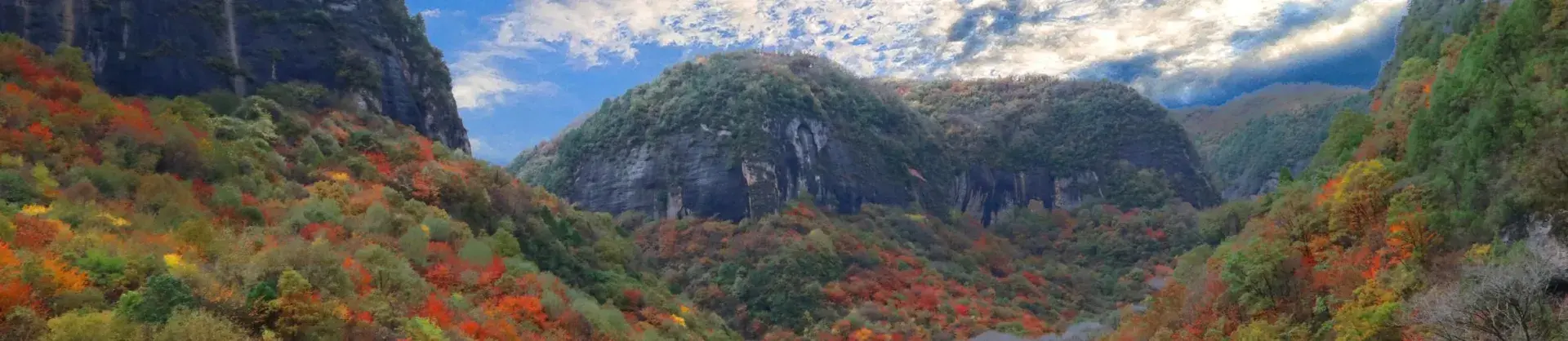 Fall Viewing Attractions