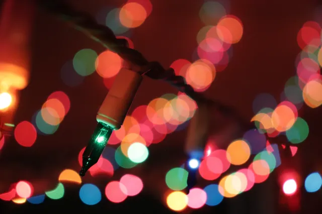 Zoo Lights in December: 9 Great Holiday Light Festivals