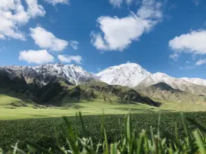 Yamen Grassland