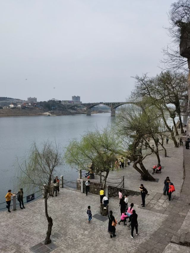 오계비림