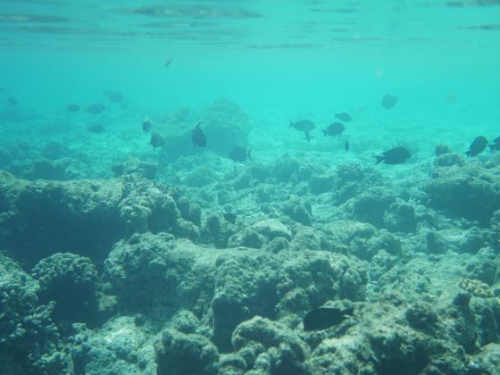 Laguna Redang Dive Center