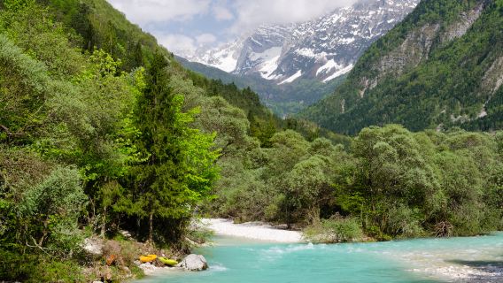 Niezbędny bilet komunikacyjny w Japonii | 5-dniowy bilet turystyczny JR PASS na obszar Tateyama Kurobe, Takayama i Matsumoto | Dostawa na Tajwan