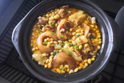 崇阳西庄旅游度假村·牡丹小镇