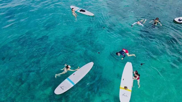 Snorkeling at Xiaoxing Island