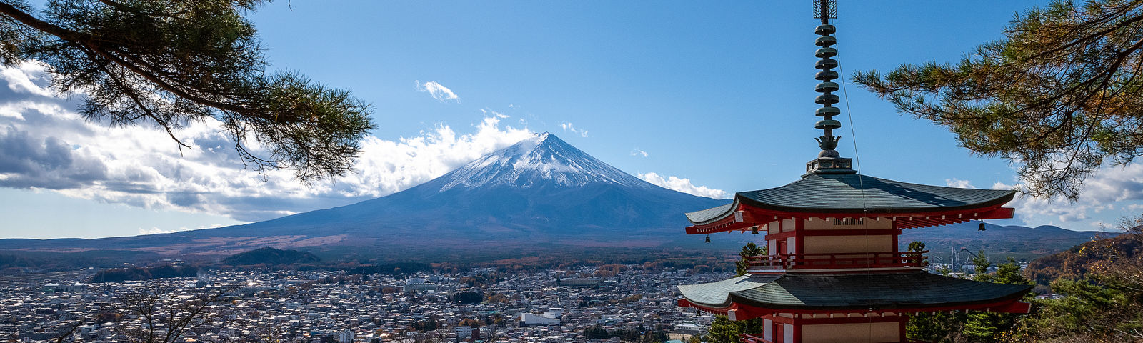 ShizuokaTours