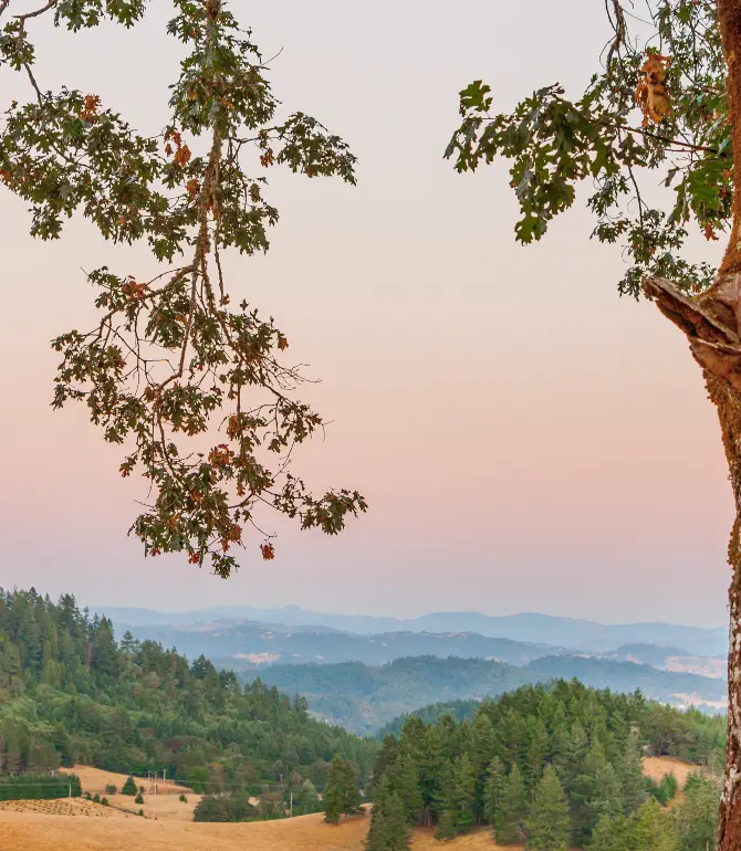 Roseburg