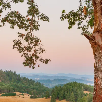 Flights from Ontario to Portland