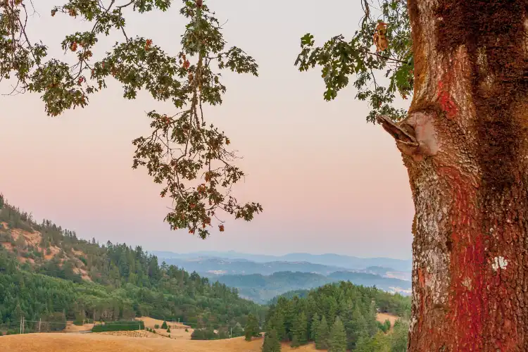Hotels in Roseburg