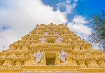 Mysore