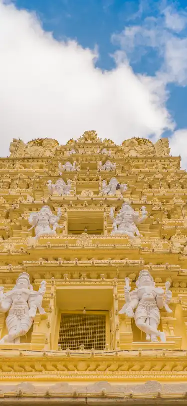 Radisson Blu في ميسور