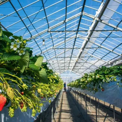 Отели рядом с достопримечательностью «Университет искусств Тама»