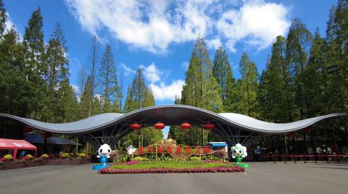 東平國家森林公園