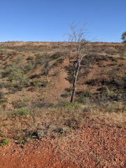 Henbury Meteorites Conservation Reserve