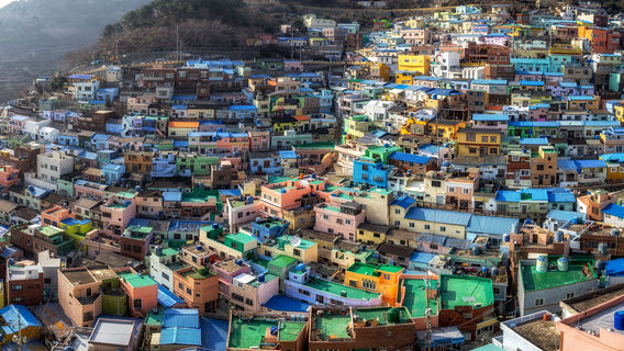 부산데이 투어