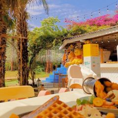 Casa Jardin User Photo