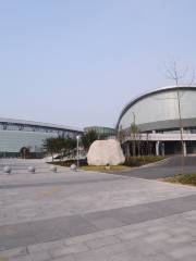 Mianzhutiyu Center