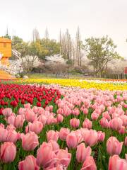 蘇州上方山国家森林公園