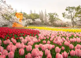 Shangfangshan Hill National Forest Park