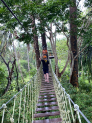 Samui zipline