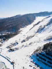 鳳凰滑雪場