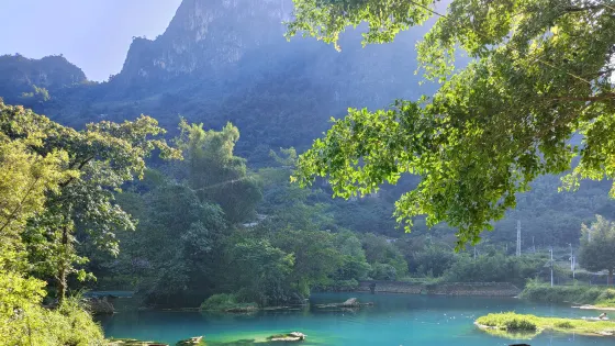 澄江國家濕地公園