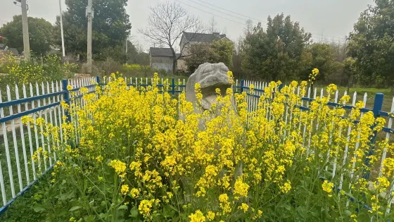 南朝陵墓石刻