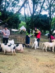 京明溫泉度假村動物觀賞園