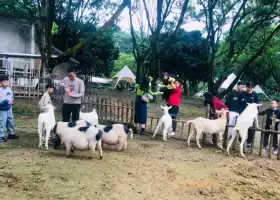 Зоопарк в курорте Горячая Сычуань Цзин Мин