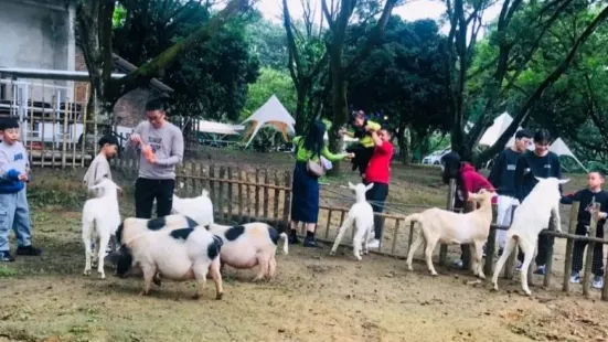 京明温泉リゾート動物観賞園