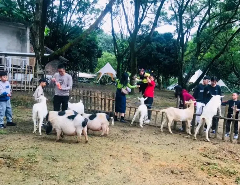 京明溫泉度假村動物觀賞園