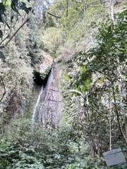 高黎貢山自然公園