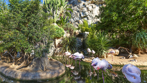 Rainier III's Zoological Garden