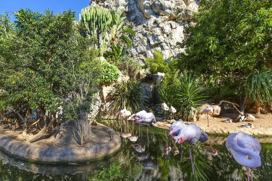 Giardino Zoologico di Monaco