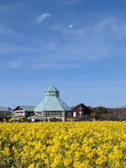 道の駅 とみうら枇杷俱楽部