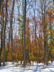 Sherbrooke Provincial Park