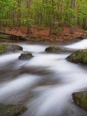 Beaverdam Recreation Area