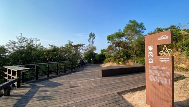 xiao heng qin · shan ti lv dao